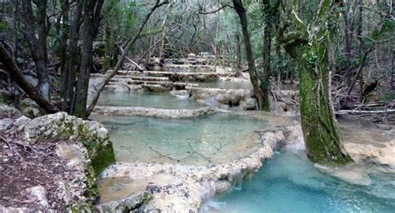 Villa Authentique mas provençal Gémenos Esterno foto